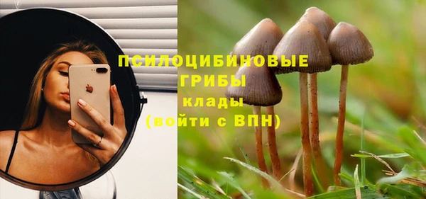 jwh Белокуриха