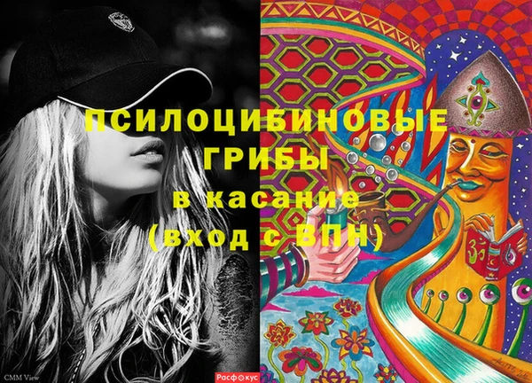 jwh Белокуриха