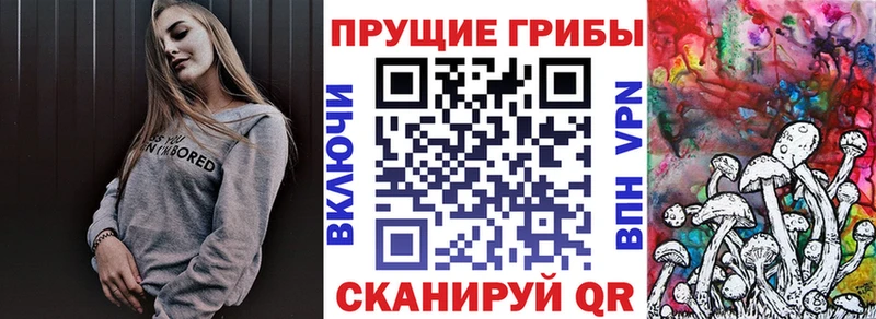 Галлюциногенные грибы Psilocybine cubensis  Магас 