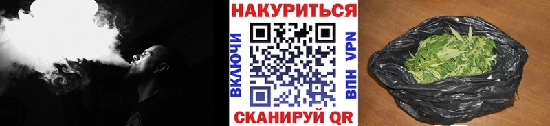 где купить наркотик  Магас  Конопля конопля 